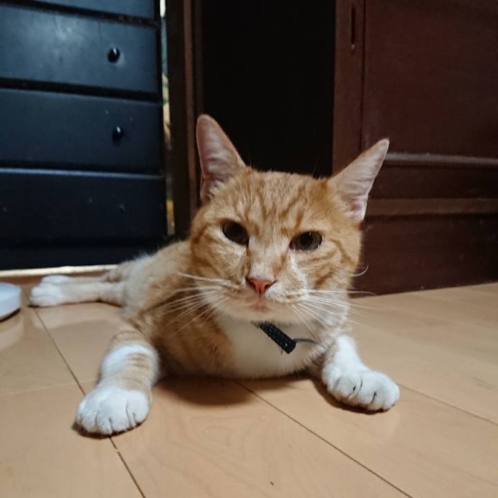 8131ed6d 98cc 44d4 983e af615dd89ae4 1598353746840