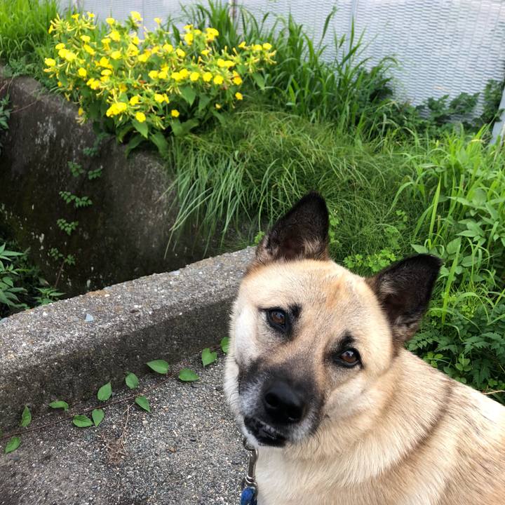 81320dcf 06eb 4b84 9168 bb23aab88602 1563363407887