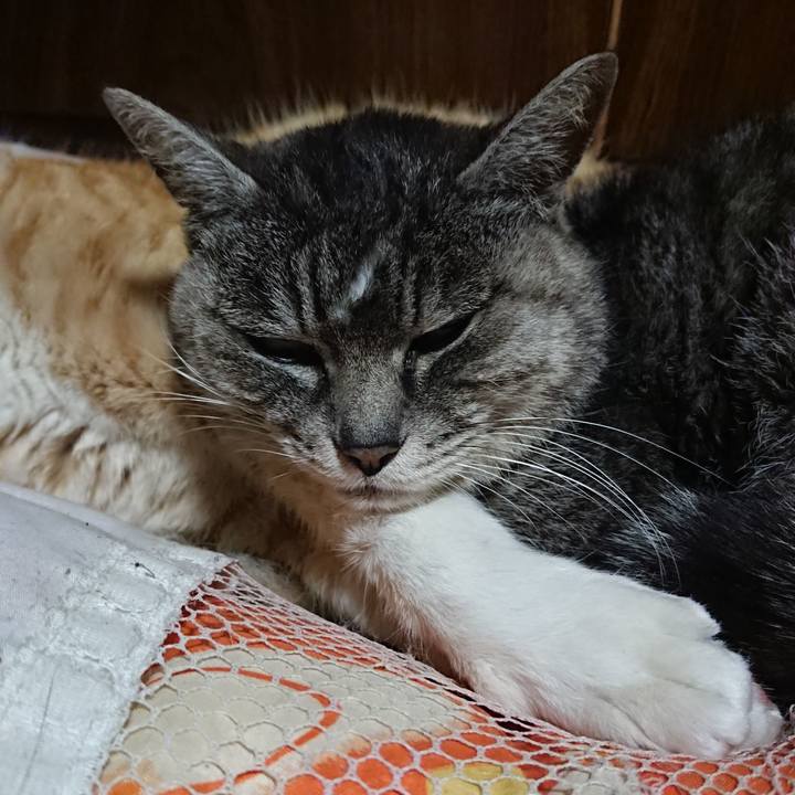 81321d60 ceb2 4ecc b6ad b33212f02f33 1581607513102