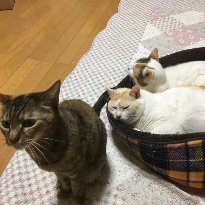 81327391 12bd 4937 af67 a07f1e43fb86 1516367430882