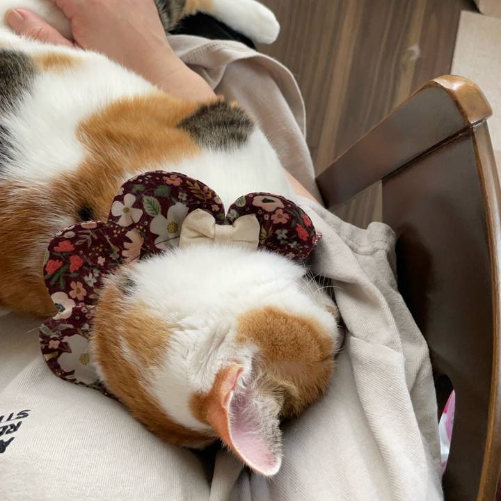 8132a649 a439 4ca7 a050 bbe19a07955f 1756603788769