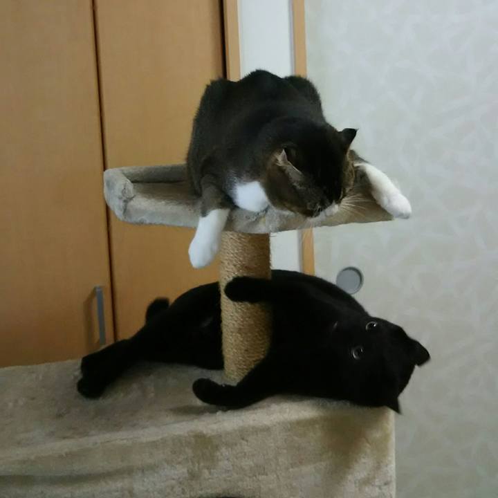 8132b16f 119d 4782 8036 2f4d78bc8177 1538958370246