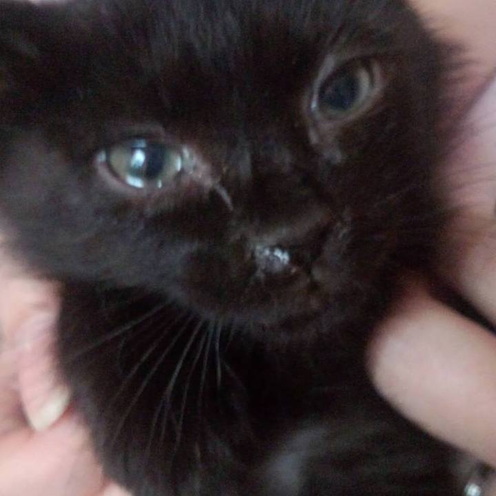 8132def9 99d8 481a ba05 674fb3d861ee 1534370663631