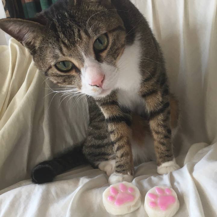 8132e495 905b 4306 9b0b 2d2e0daf0985 1675352922079