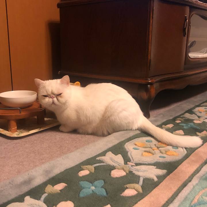 81330243 d569 40d5 b9dd e1a249999b03 1642337389781