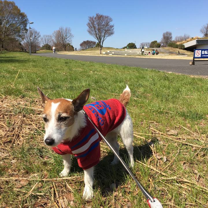 81334268 23f3 473c 98e9 4bc42ffe70fa 1553393436828