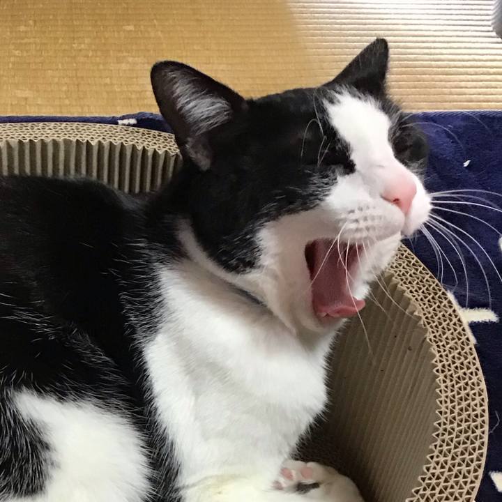 81335450 09be 44ac 8e6c 8c7b7b0d2328 1709972136524