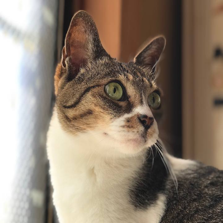 81337b15 81e2 4880 9058 39bfd15646ec 1526867151062