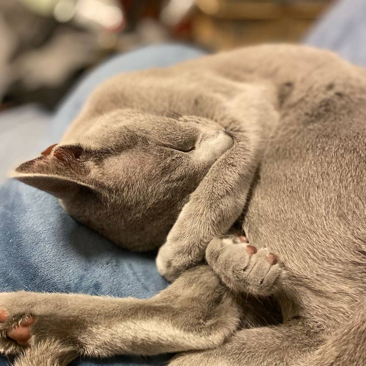 8133ef58 6c69 4960 a975 8750bde6d20d 1603627686588