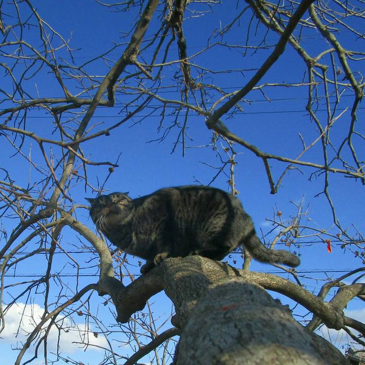 81341e35 8d0c 4a46 b627 c79b1fa97c80 1512704732557