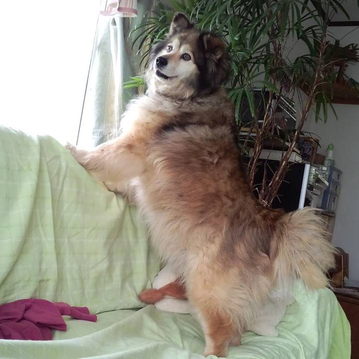 813462cc 0fac 46c2 b6ed 2b65d16e5d00 1584754297710