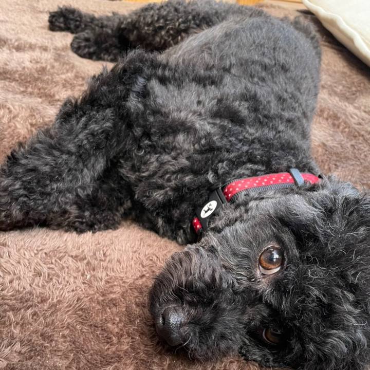 813487ee 4e8d 4633 9cda 000c970f7fe3 1633165957359