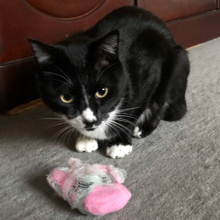 8134a80d f328 4ec8 9165 e6075db8a9a6 1637206990206