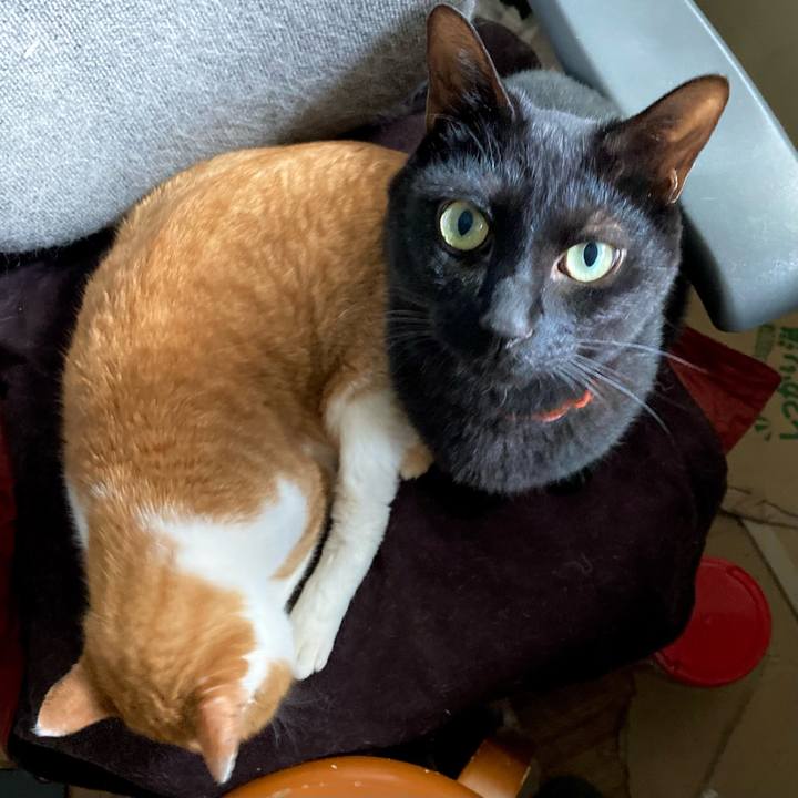 8134cae0 b135 42b7 8fd6 19f1387aa7dd 1716101123871