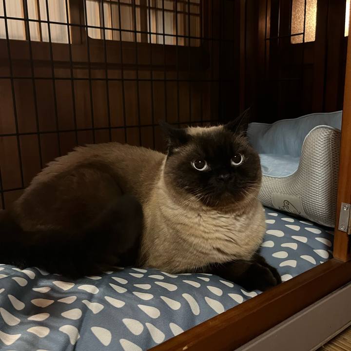 8134ced0 ca0c 455f 9258 ad877c4e0dba 1748048709420