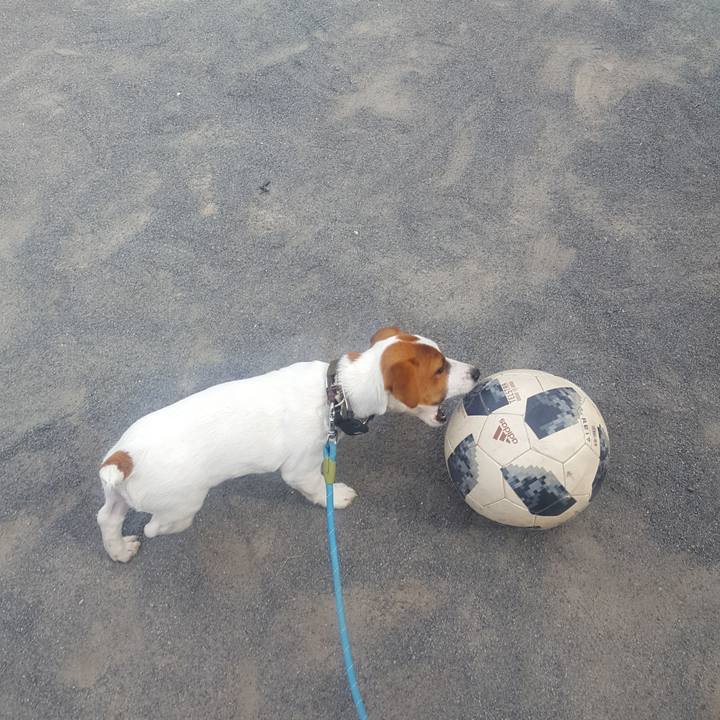 8134e27f 8f80 4071 a3bd 022e5b102932 1552972196685