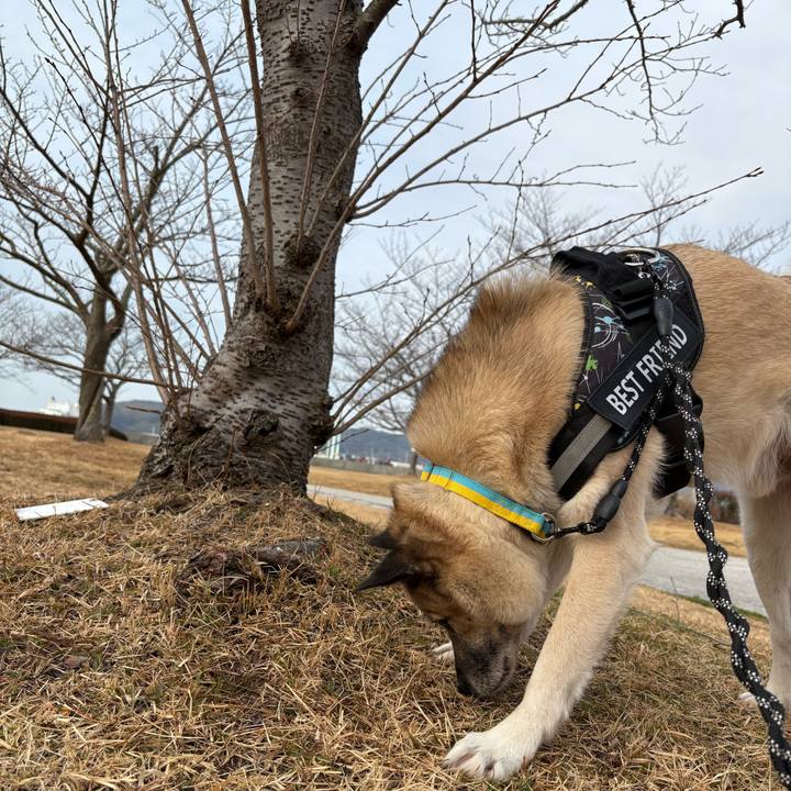 8134f9a3 f798 47a5 8585 e85559d1438e 1739613058593