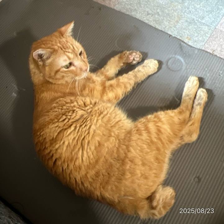 81350869 7500 4942 b6ec a5bb8d089685 1755904786730