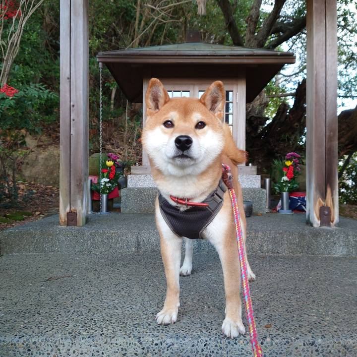 81351bce fc50 40ae b14b d0c52072ae33 1767243027467