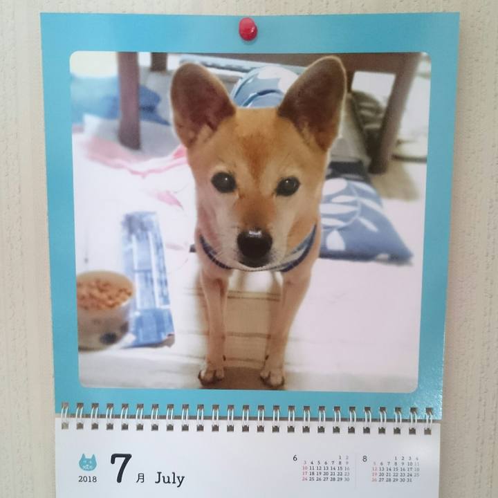 81351e41 73a4 404f bdcb d1ee616a8caf 1531012979104