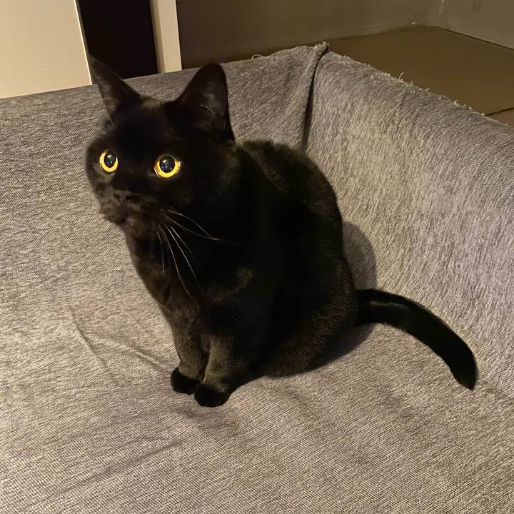 8135417e 4e9c 43b0 beb6 d276ff031301 1745672071928