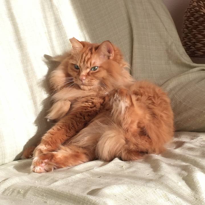 81355eea 004b 442a 80dc 6b3cf3e6d69d 1516136370167