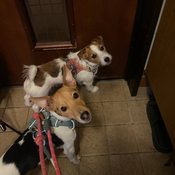 8135aea8 6372 41cb b346 8de4efe86e56 1770240477720