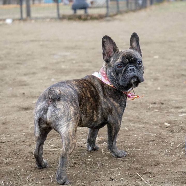 8135dc80 4647 4c92 b8ee 2865f55cfad2 1515753735537