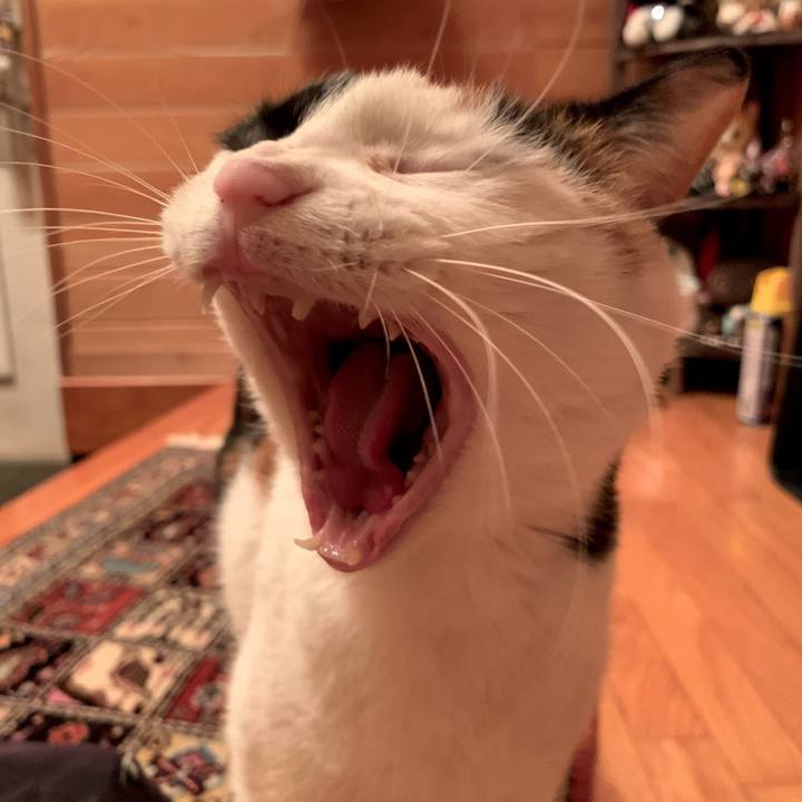 8135dd0b 0c77 4c15 8b93 d52e7c978bc6 1607170960657