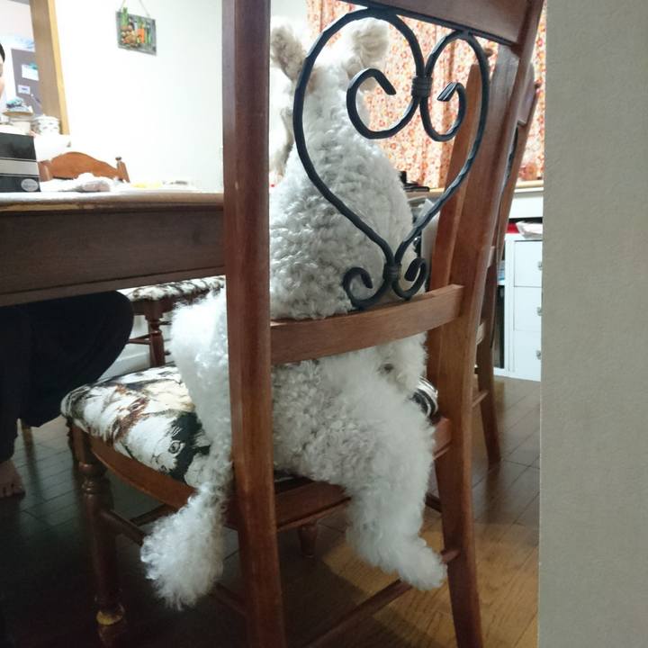 8135ebbc c178 4cb4 b24d 41fa304d0f2f 1529674377424