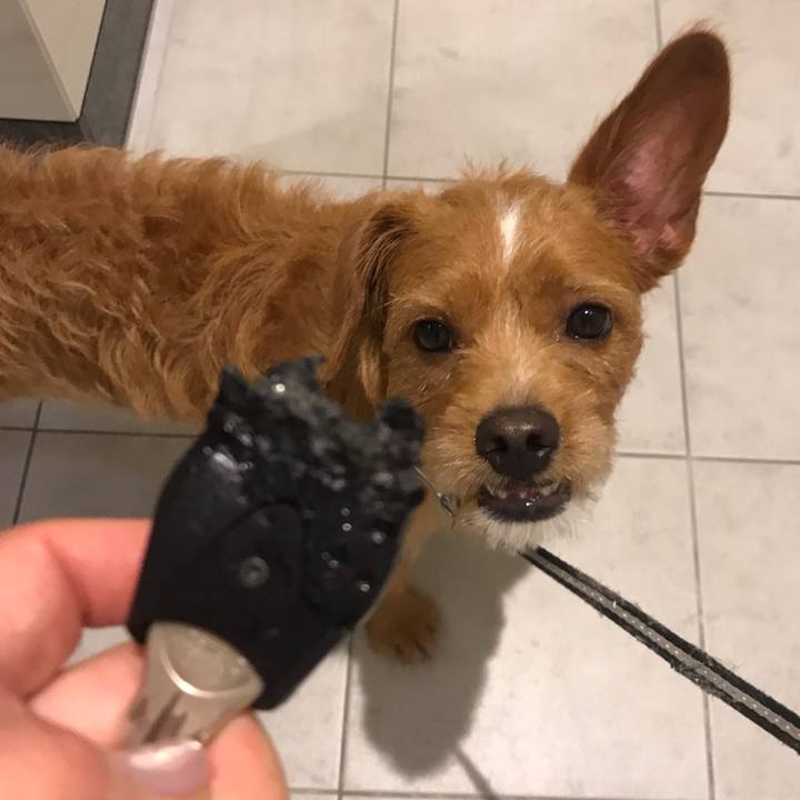 8136050c bea9 4e1b 8667 78bc81d75654 1565574028743