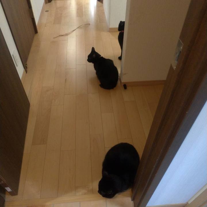 813632d1 da65 4868 9c53 8ae669567e3b 1550622806809