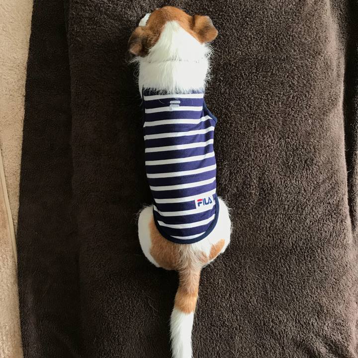 8136445d 0ba4 47ef 9a47 19b2be8c24b3 1537355303001