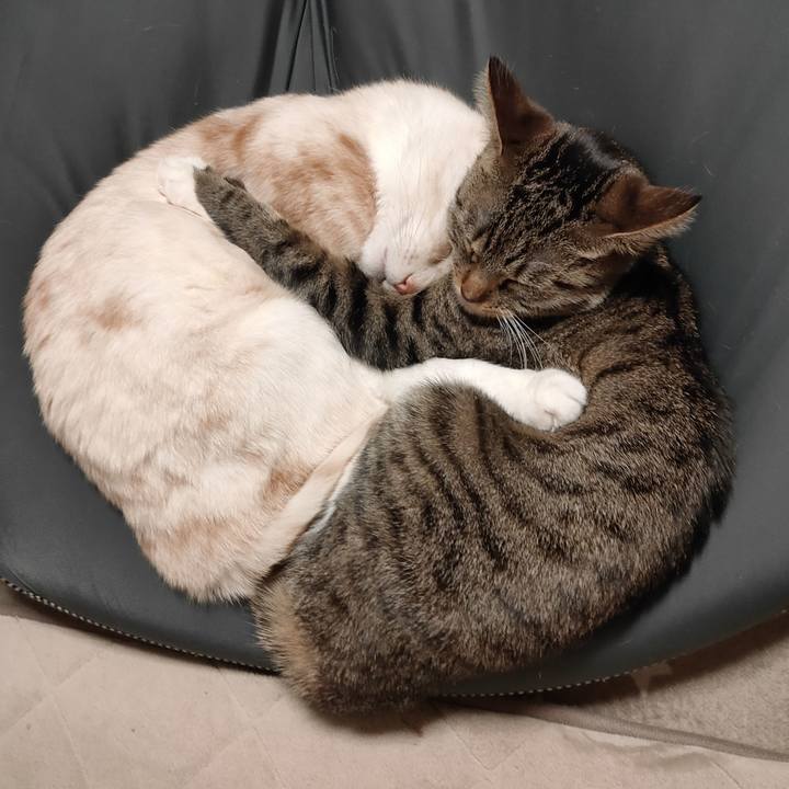 8136f3df a110 4762 b982 f3b07bfcfee6 1674874828324