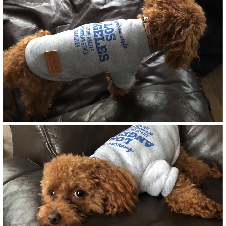 81371ff1 77f2 400d b883 1b50d3bf53d8 1521011309274