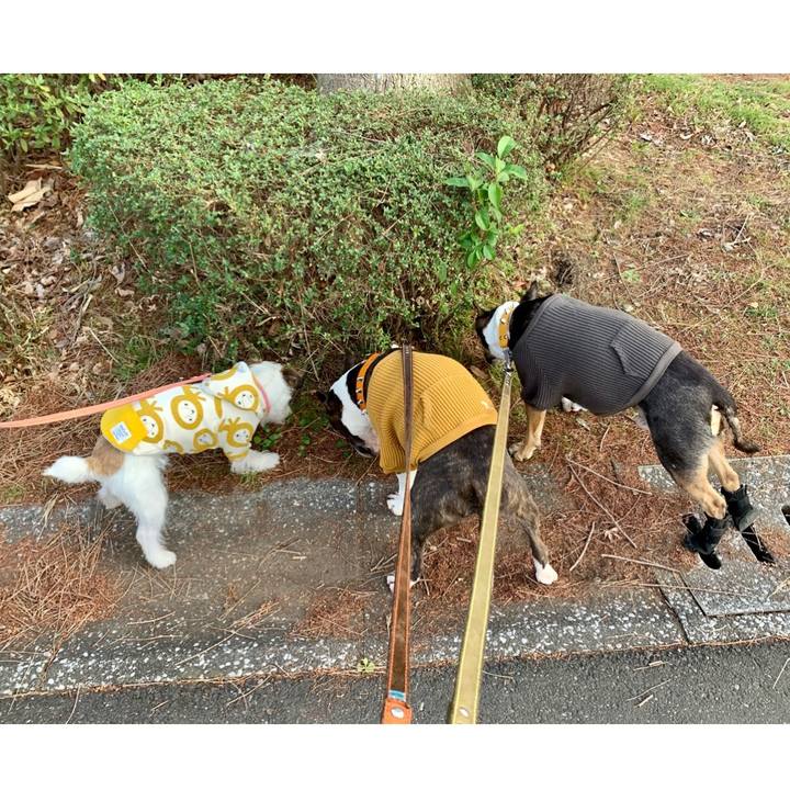 81372ad1 13b6 4d24 9bf9 b6b31745e336 1616240350103