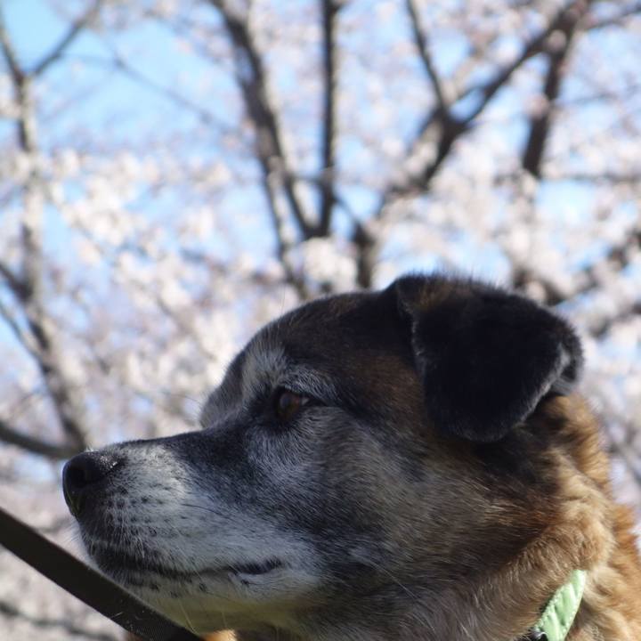 81374182 7bfc 4ae7 af5a e4f245528496 1662509781658