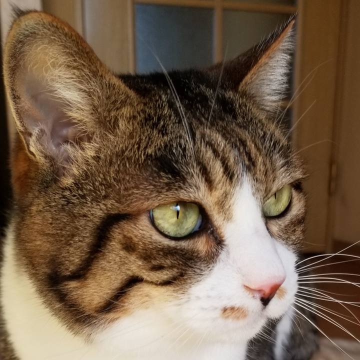 81375a2d 5616 4cb4 81f0 f324a77ceac2 1546759130598