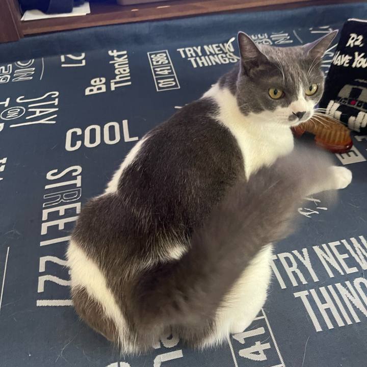 81375b85 d3d6 4591 a64d 9ce67b184e2c 1693707976483