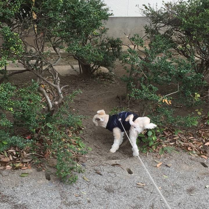 81379fc2 1f20 4e8c b983 6320882b6f0f 1544329655426