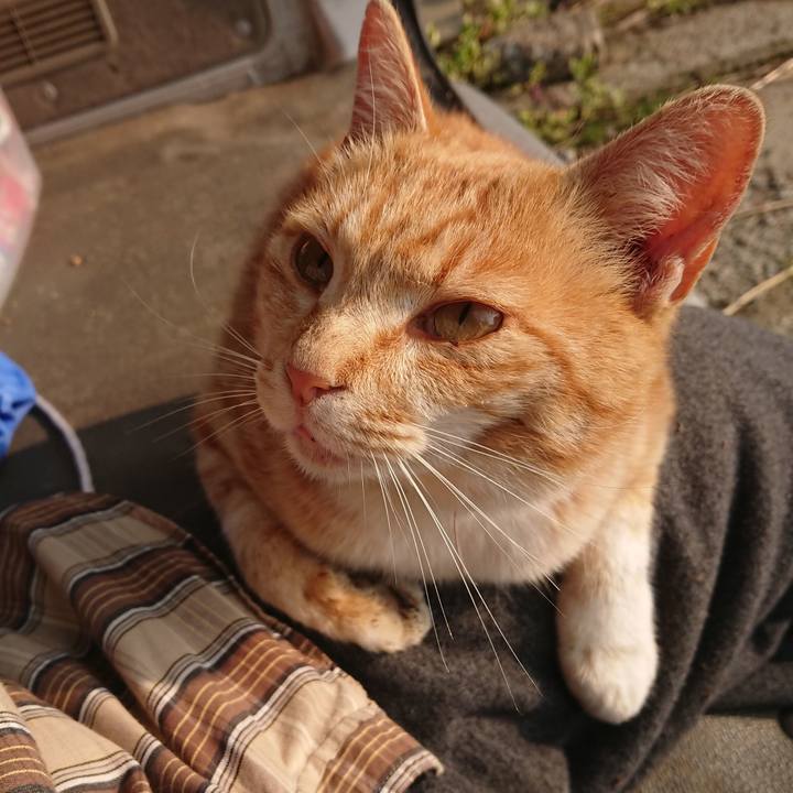 8137b4d7 6905 46d0 b2c2 1c573a8b1dd4 1588371152275