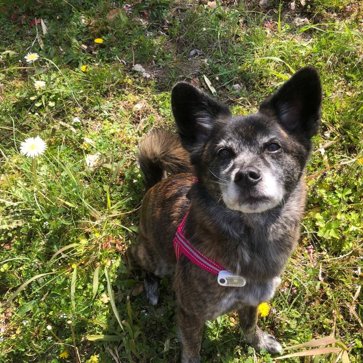 8137c9ba e289 4120 b436 5693d651c0c0 1648682103064