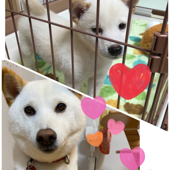 8137f6c4 e038 44c1 a5fe 8c9a001590b9 1631359661258