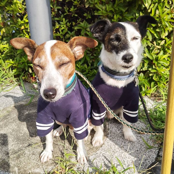 81380503 d75a 4230 a7d2 a2854c64cf39 1752274075228