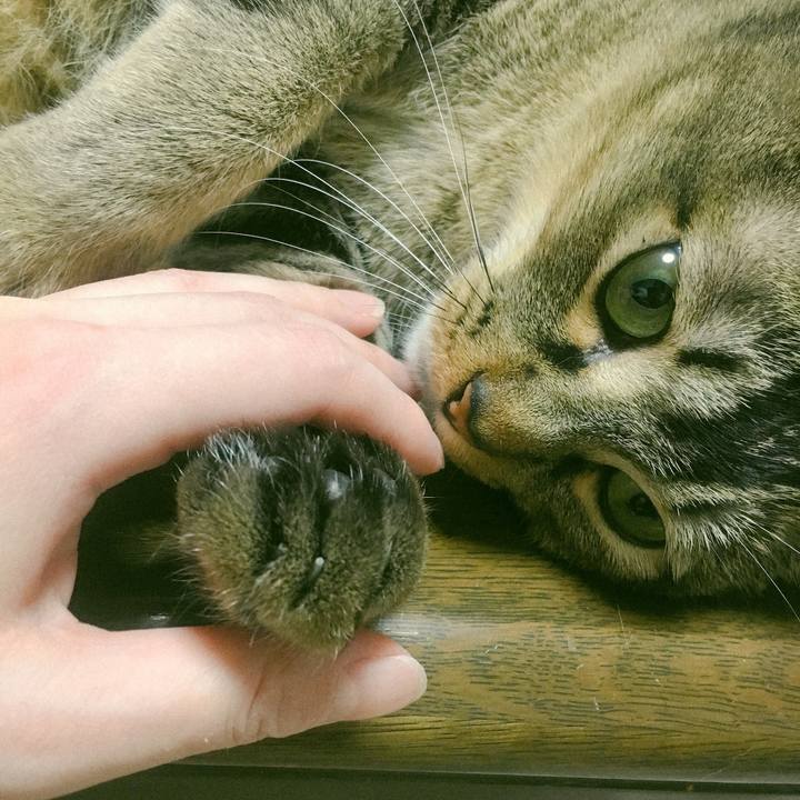 81382e76 6656 42e2 91a3 76dfc20206ca 1550497574235