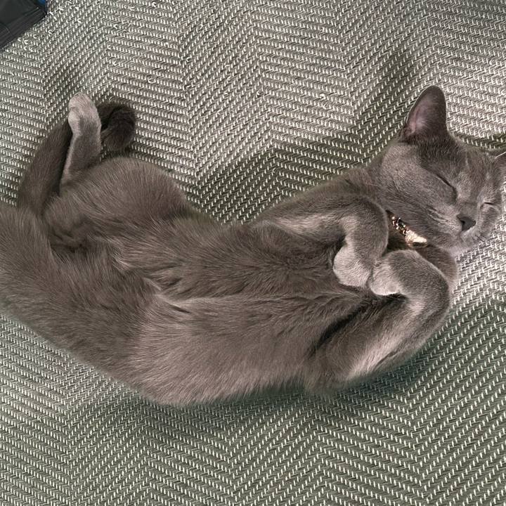 813878c0 0671 4a70 9cf1 bfe9a71fb3b9 1731475349139