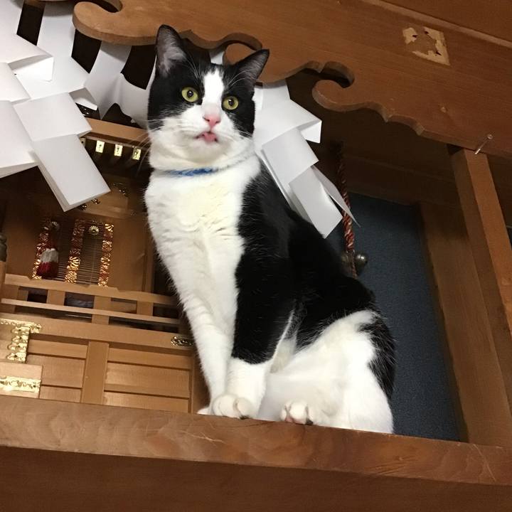 813897fc 8c4b 4788 ae73 62635ded87c2 1673613045407