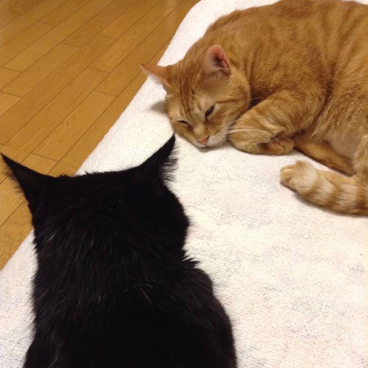 81389de0 2d41 487b bdae f02402bbdc5d 1568723148948