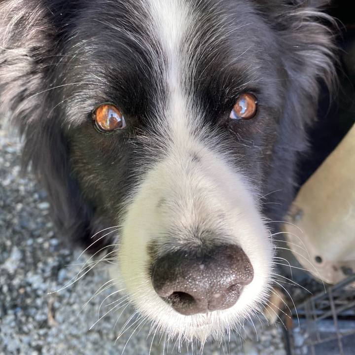 8138a156 f457 43fe ac0e 5ecf8a00fa0d 1666309940077