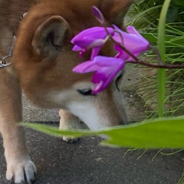 8138b3f8 f1c1 4433 81e5 c5e54a1efe28 1651738833209